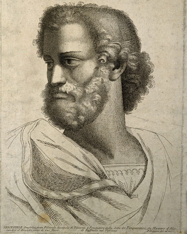 t-shirt koszulka Arystoteles allegoria